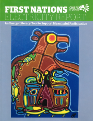 First Nations Electricity Report